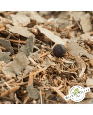 Tisane Calculs Reins Vessie Herboristerie du Palais Royal Michel Pierre