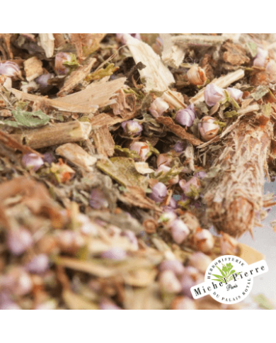Tisane Confort Urinaire Homme Herboristerie du Palais Royal Paris Michel Pierre