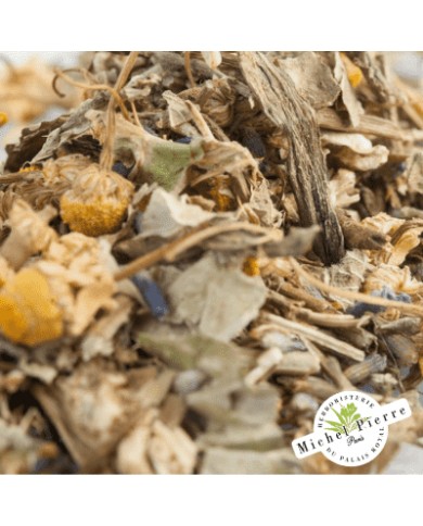 Tisane confort Migraines et maux de tête Herboristerie du Palais Royal Paris Michel Pierre Tisane confort Migraines et maux de tête Herboristerie du Palais Royal Paris Michel Pierre