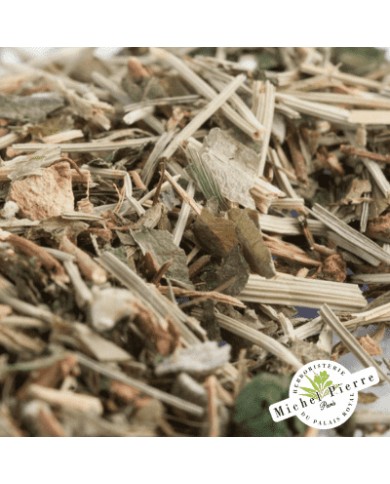 Tisane confort reminéralisante Herboristerie du Palais Royal Paris Michel Pierre