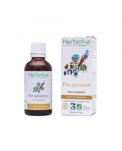 Pin sylvestre extrait hydroalcoolique Bio Pin sylvestre extrait hydroalcoolique Bio