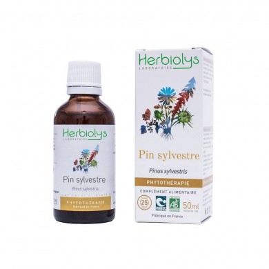Pin sylvestre extrait hydroalcoolique Bio Pin sylvestre extrait hydroalcoolique Bio