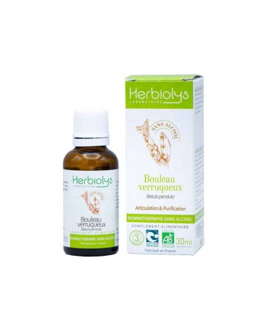 Bouleau verruqueux bourgeons sans alcool Bio Bouleau verruqueux bourgeons sans alcool Bio