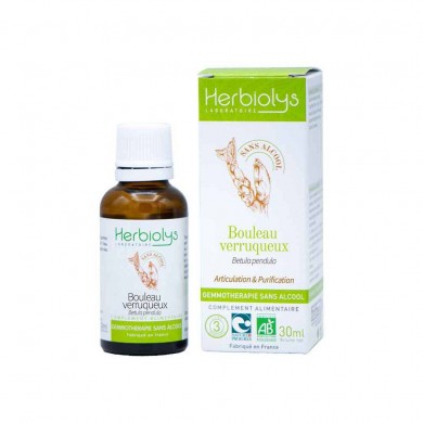 Bouleau verruqueux bourgeons sans alcool Bio Bouleau verruqueux bourgeons sans alcool Bio