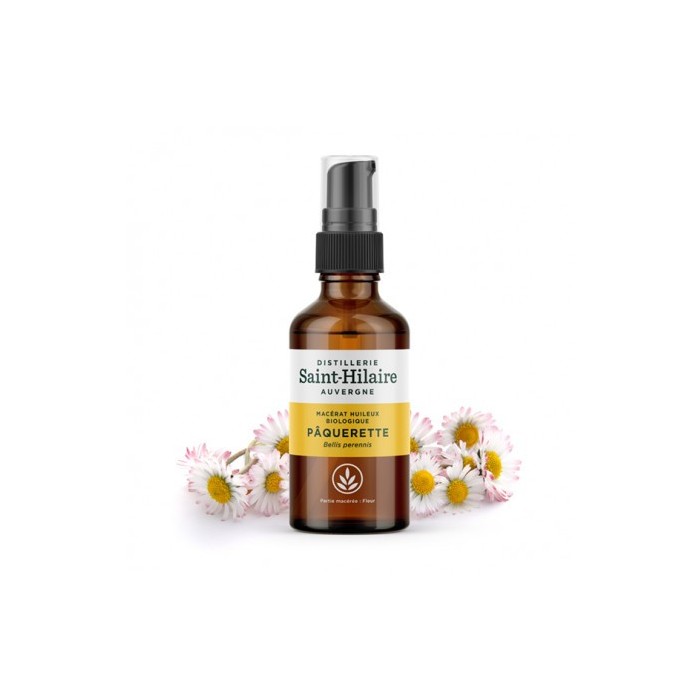 Pâquerette - macérat huileux biologique