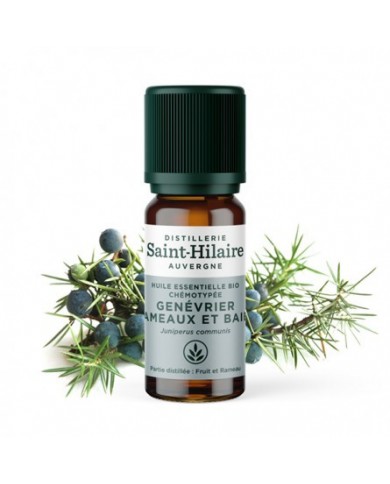 Genévrier en huile essentielle Bio Genévrier en huile essentielle Bio