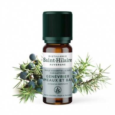 Genévrier en huile essentielle Bio Genévrier en huile essentielle Bio