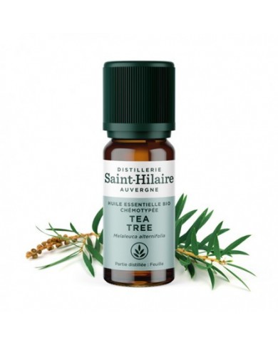 Tea tree en huile essentielle bio Tea tree en huile essentielle bio