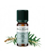 Laurier noble en huile essentielle Bio Laurier noble en huile essentielle Bio