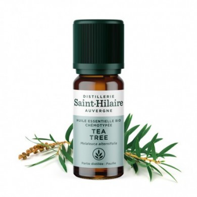 Tea tree en huile essentielle bio Tea tree en huile essentielle bio