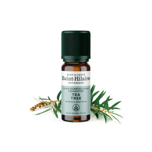 Tea tree en huile essentielle bio