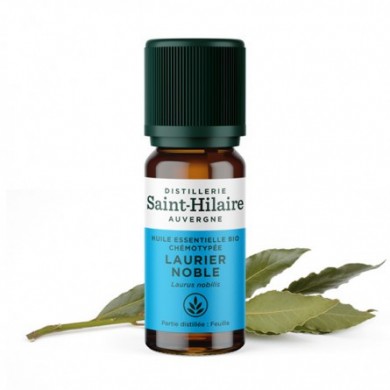 Laurier noble en huile essentielle Bio Laurier noble en huile essentielle Bio
