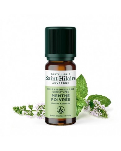 Menthe poivrée en huile essentielle Bio Menthe poivrée en huile essentielle Bio