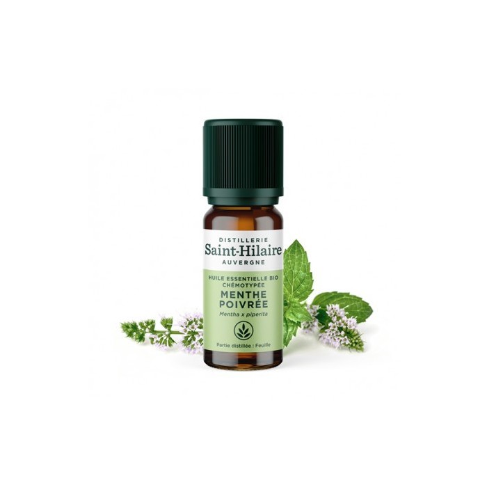 Menthe poivrée en huile essentielle Bio