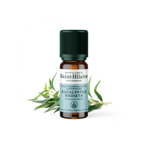 Eucalyptus radié en huile essentielle Bio