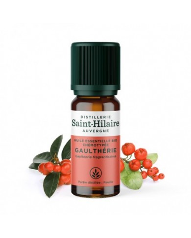 Gaulthérie en huile essentielle Bio Gaulthérie en huile essentielle Bio