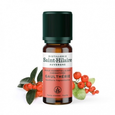 Gaulthérie en huile essentielle Bio Gaulthérie en huile essentielle Bio