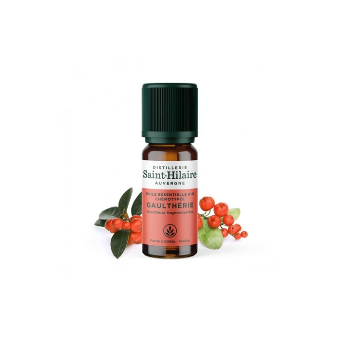 Gaulthérie en huile essentielle Bio