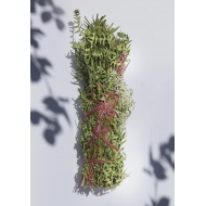 Bouquet du Hérisson à brûler Bouquet du Hérisson à brûler