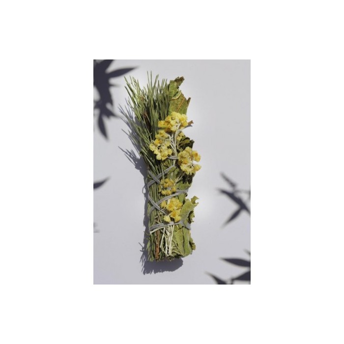 Bouquet de l'Ours à brûler