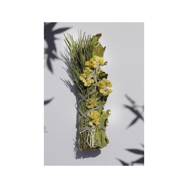 Bouquet de l'Ours à brûler