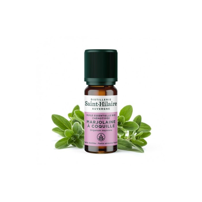 Marjolaine à coquille en huile essentielle Bio
