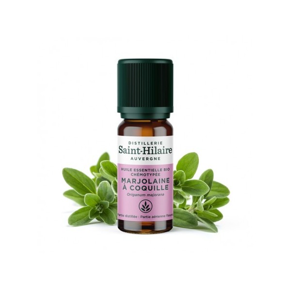 Marjolaine à coquille en huile essentielle Bio