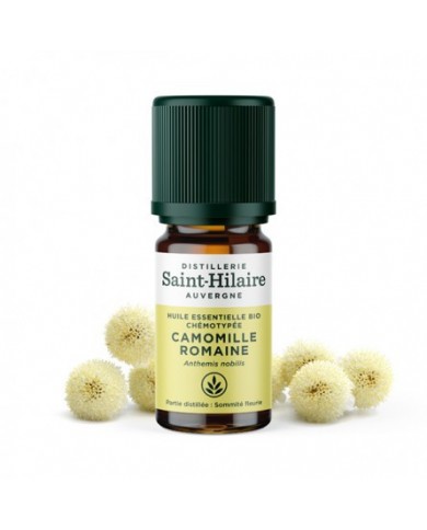 Camomille Romaine en huile essentielle Bio Camomille Romaine en huile essentielle Bio