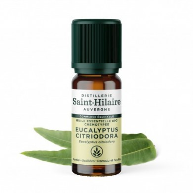Eucalyptus citronné en huile essentielle Bio Eucalyptus citronné en huile essentielle Bio