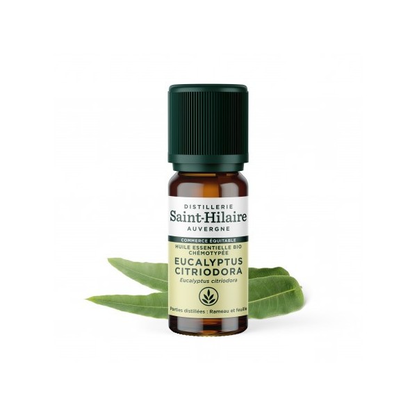 Eucalyptus citronné en huile essentielle Bio