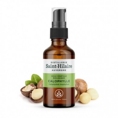 Calophylle en huile végétale Bio Calophylle en huile végétale Bio