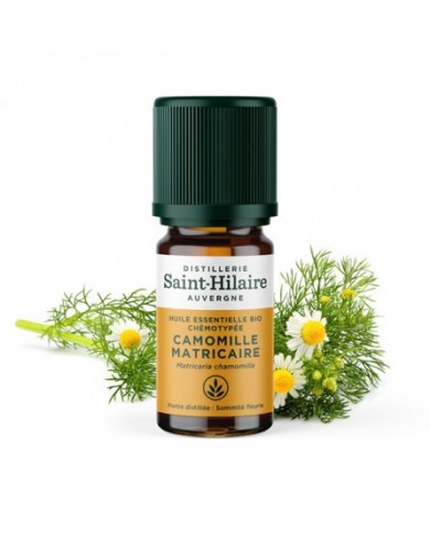 Camomille Matricaire en huile essentielle Bio Camomille Matricaire en huile essentielle Bio