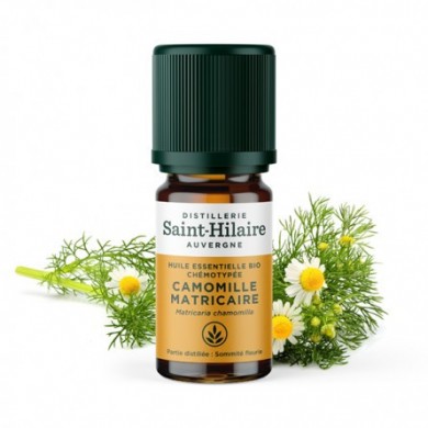 Camomille Matricaire en huile essentielle Bio Camomille Matricaire en huile essentielle Bio
