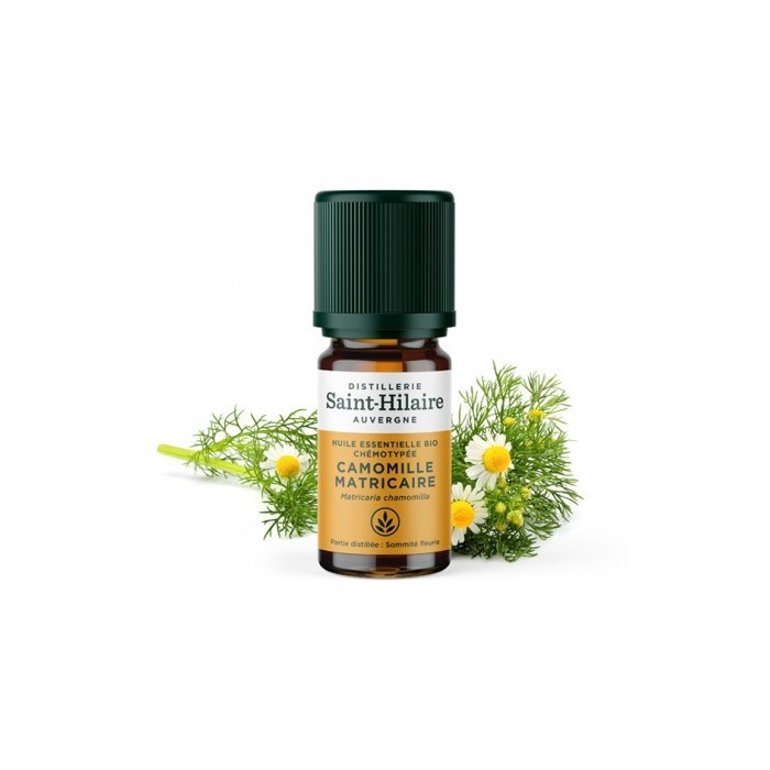 Camomille Matricaire en huile essentielle Bio