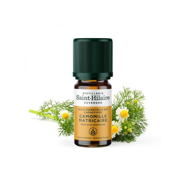 Camomille Matricaire en huile essentielle Bio