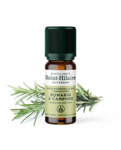 Romarin à Camphre en huile essentielle Bio Romarin à Camphre en huile essentielle Bio