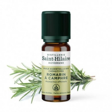 Romarin à Camphre en huile essentielle Bio Romarin à Camphre en huile essentielle Bio