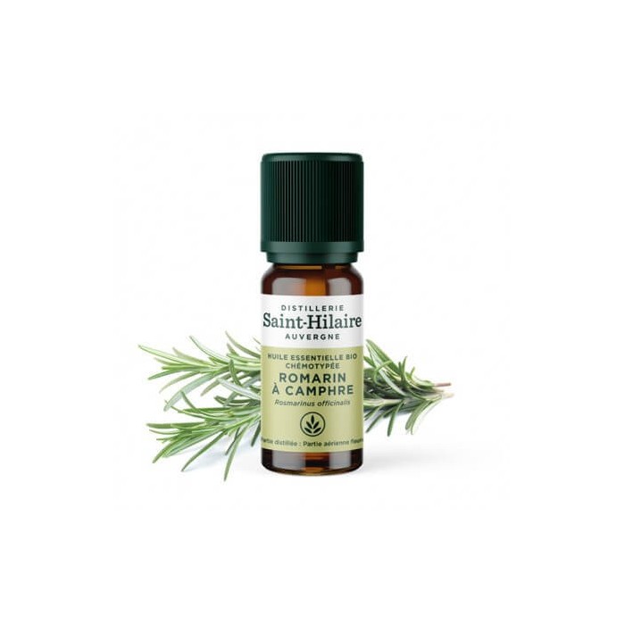 Romarin à Camphre en huile essentielle Bio