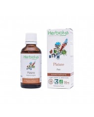 Châtaignier bourgeons en liquide sans alcool Bio Châtaignier bourgeons en liquide sans alcool Bio