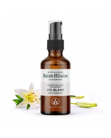 Lys Blanc en macérat huileux Bio Lys Blanc en macérat huileux Bio