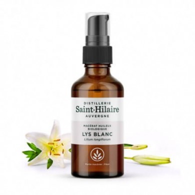 Lys Blanc en macérat huileux Bio Lys Blanc en macérat huileux Bio