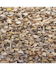 Radis noir racine en vrac