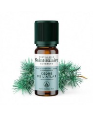 Romarin à Camphre en huile essentielle Bio Romarin à Camphre en huile essentielle Bio