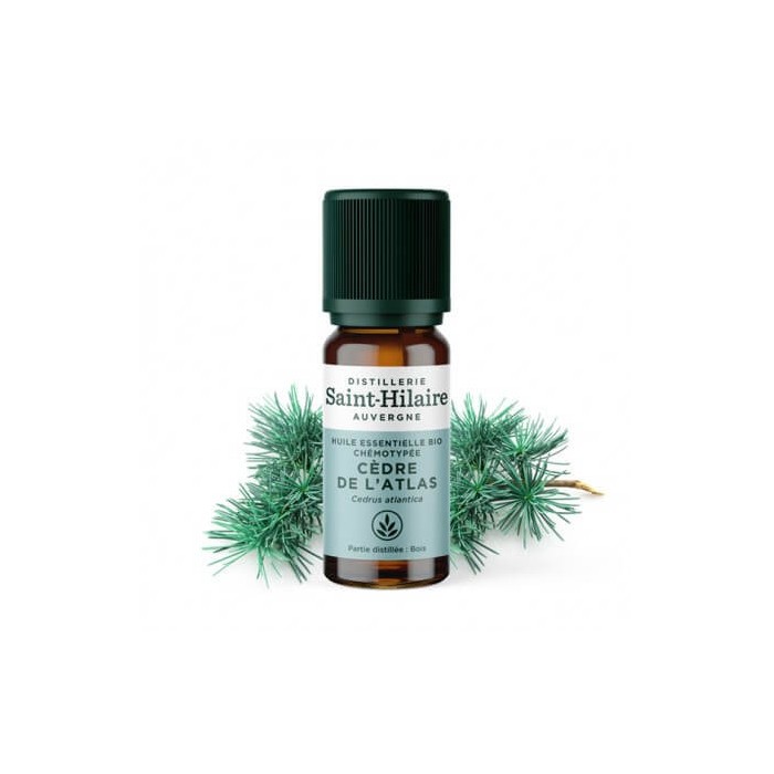 Cèdre de l'Atlas en huile essentielle Bio