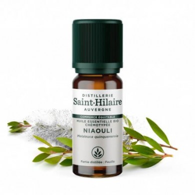 Niaouli en huile essentielle Bio Niaouli en huile essentielle Bio