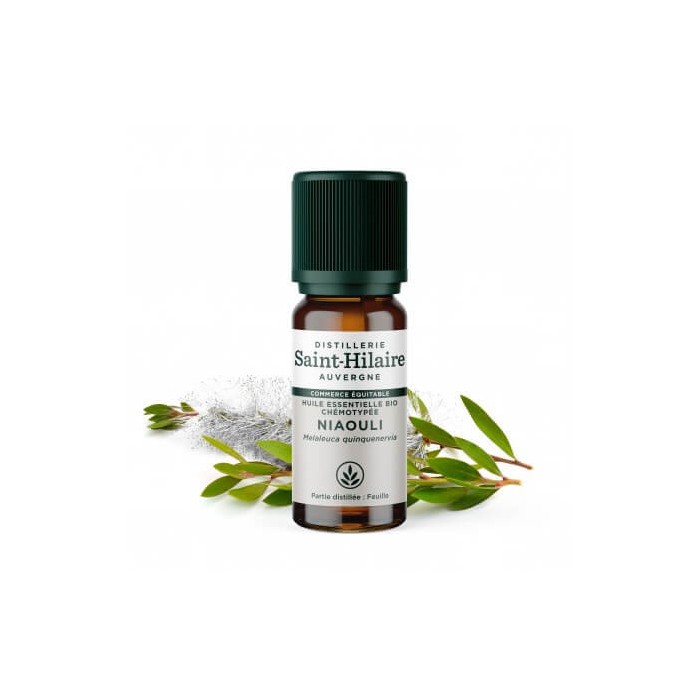 Niaouli en huile essentielle Bio