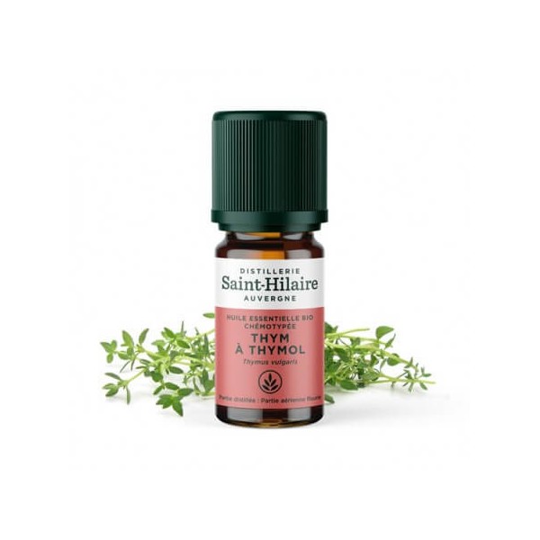 Thym à thymol en huile essentielle Bio