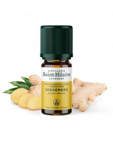 Gingembre en huile essentielle Bio Gingembre en huile essentielle Bio