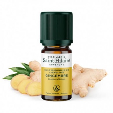Gingembre en huile essentielle Bio Gingembre en huile essentielle Bio