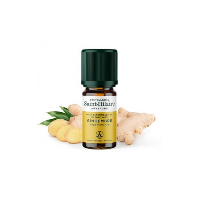 Gingembre en huile essentielle Bio